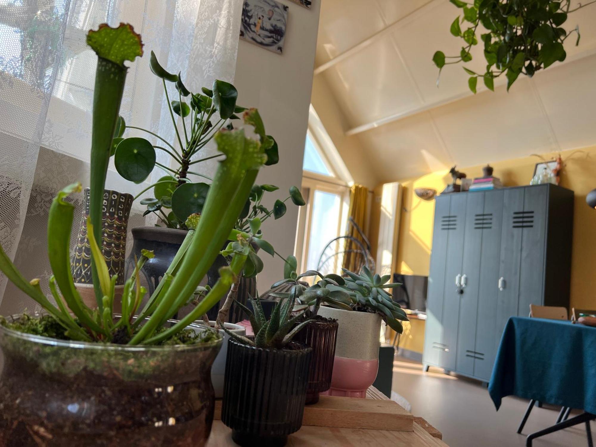 Romantic Dutch Hideaway Jisp Ngoại thất bức ảnh